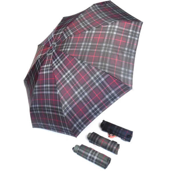 umbrella