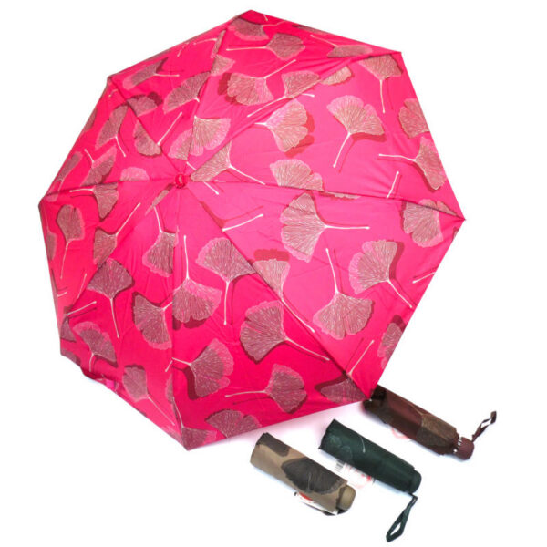umbrella