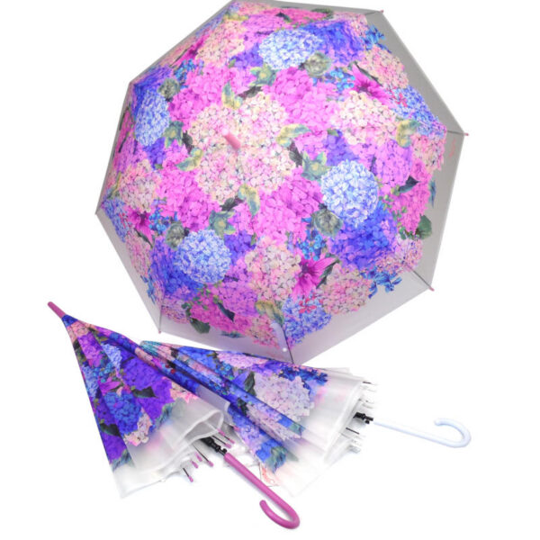 umbrella