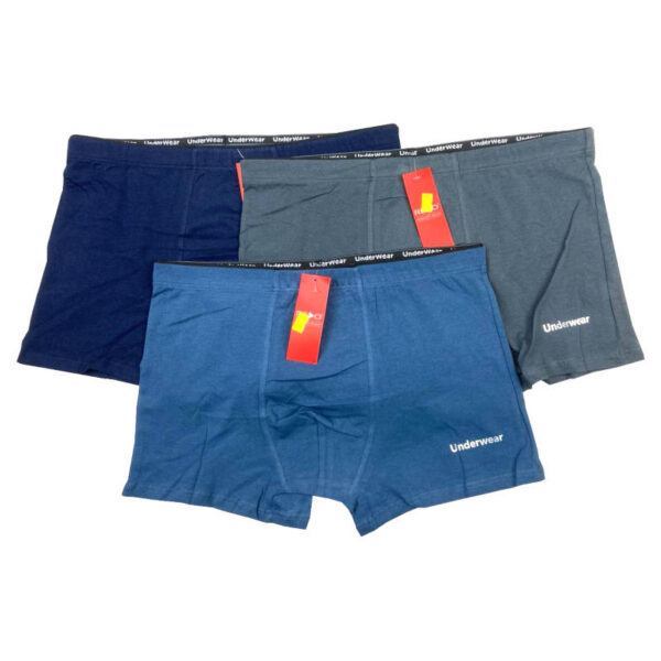 boxer briefs for men