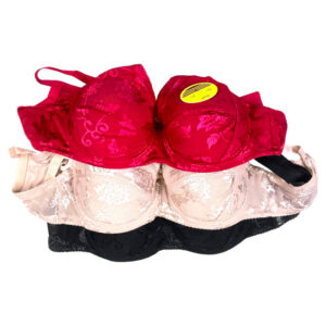 brassiere
